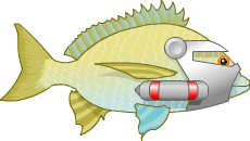 bream