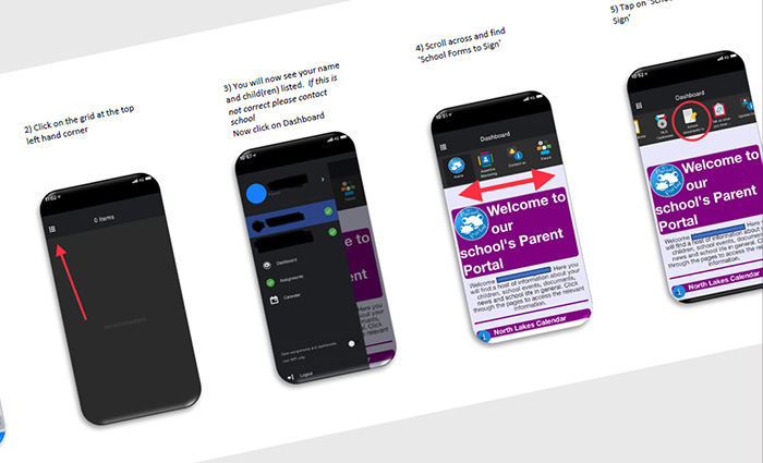 MyFrog App Guide
